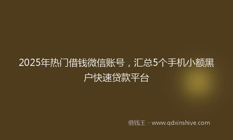 2025年热门借钱微信账号，汇总5个手机小额黑户快速贷款平台