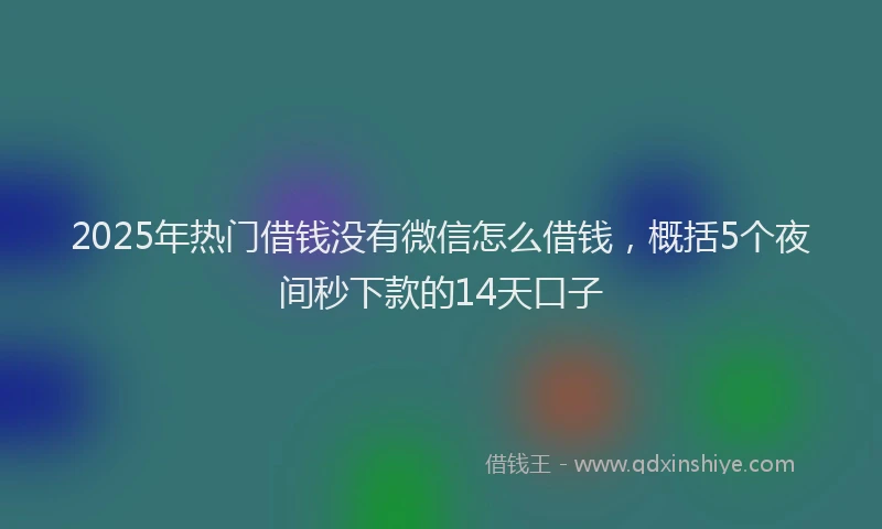 2025年热门借钱没有微信怎么借钱，概括5个夜间秒下款的14天口子