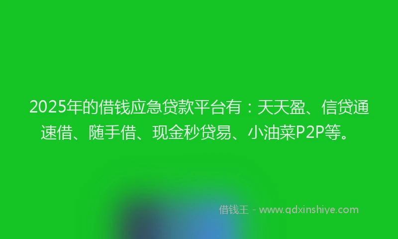2025年的借钱应急贷款平台有：天天盈、信贷通速借、随手借、现金秒贷易、小油菜P2P等。