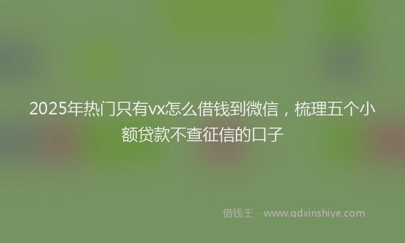 2025年热门只有vx怎么借钱到微信，梳理五个小额贷款不查征信的口子