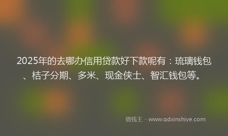 2025年的去哪办信用贷款好下款呢有：琉璃钱包、桔子分期、多米、现金侠士、智汇钱包等。