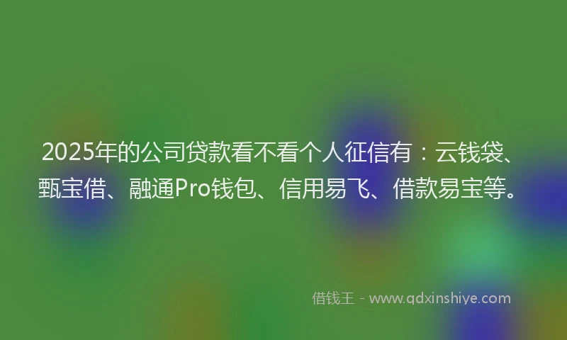 2025年的公司贷款看不看个人征信有：云钱袋、甄宝借、融通Pro钱包、信用易飞、借款易宝等。