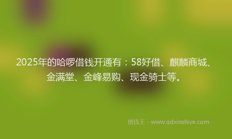2025年的哈啰借钱开通有：58好借、麒麟商城、金满堂、金峰易购、现金骑士等。