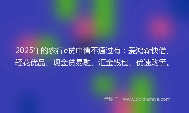 2025年的农行e贷申请不通过有：爱鸿森快借、轻花优品、现金贷易融、汇金钱包、优速购等。