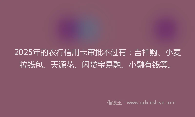 2025年的农行信用卡审批不过有：吉祥购、小麦粒钱包、天源花、闪贷宝易融、小融有钱等。