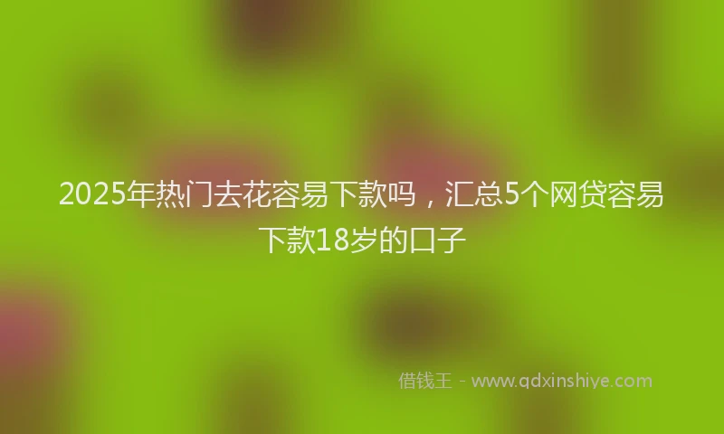 2025年热门去花容易下款吗，汇总5个网贷容易下款18岁的口子