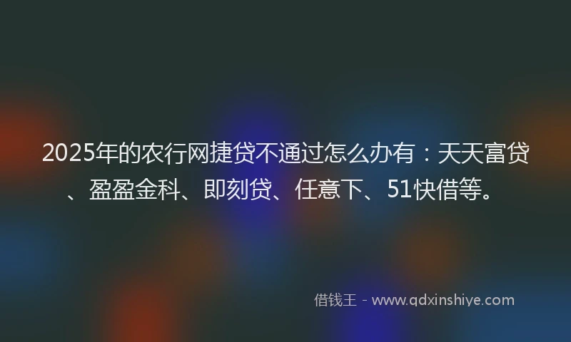 2025年的农行网捷贷不通过怎么办有：天天富贷、盈盈金科、即刻贷、任意下、51快借等。