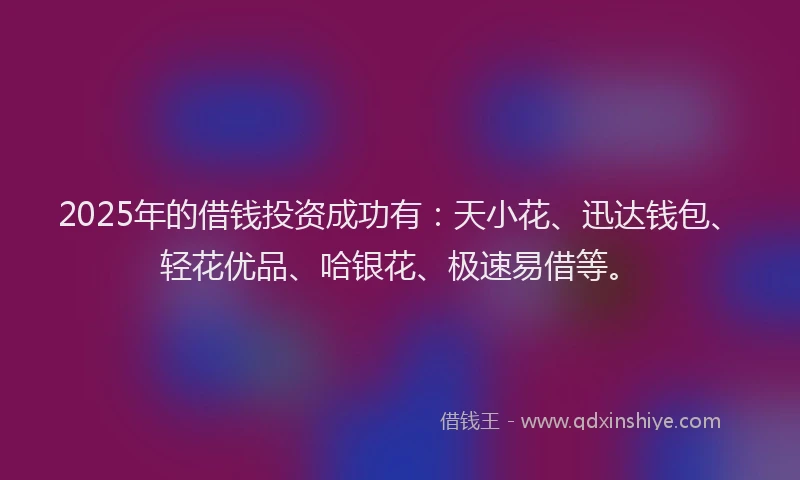 2025年的借钱投资成功有：天小花、迅达钱包、轻花优品、哈银花、极速易借等。