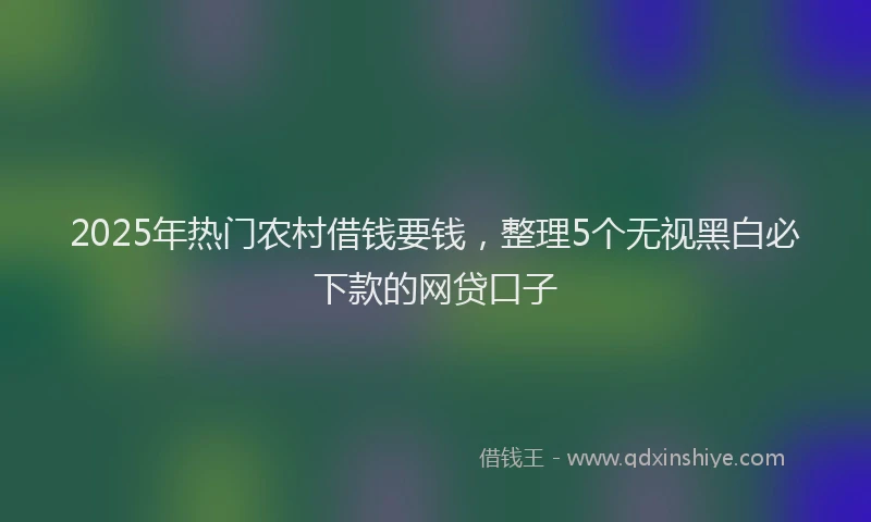 2025年热门农村借钱要钱，整理5个无视黑白必下款的网贷口子