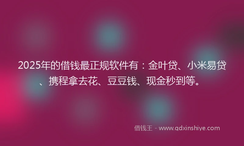 2025年的借钱最正规软件有：金叶贷、小米易贷、携程拿去花、豆豆钱、现金秒到等。