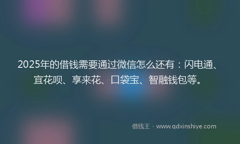 2025年的借钱需要通过微信怎么还有：闪电通、宜花呗、享来花、口袋宝、智融钱包等。
