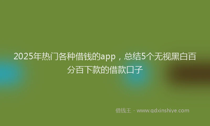 2025年热门各种借钱的app，总结5个无视黑白百分百下款的借款口子