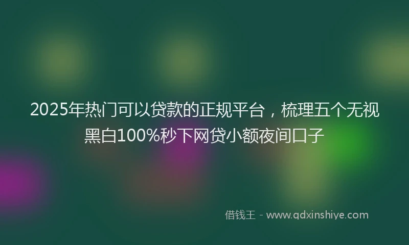 2025年热门可以贷款的正规平台，梳理五个无视黑白100%秒下网贷小额夜间口子