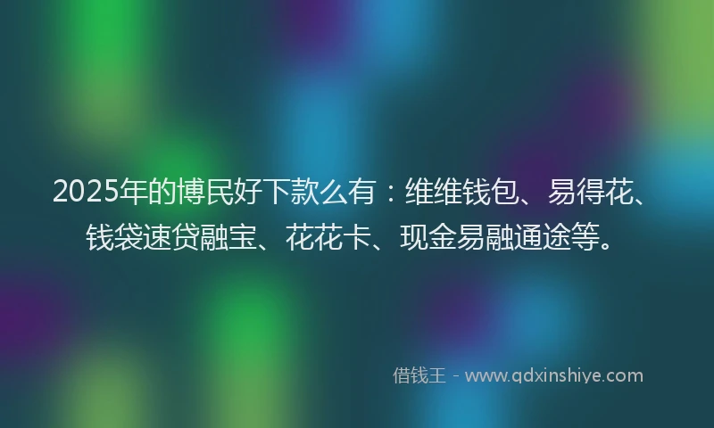 2025年的博民好下款么有：维维钱包、易得花、钱袋速贷融宝、花花卡、现金易融通途等。