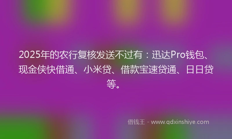 2025年的农行复核发送不过有：迅达Pro钱包、现金侠快借通、小米贷、借款宝速贷通、日日贷等。