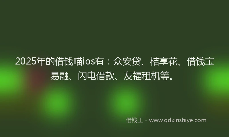 2025年的借钱喵ios有：众安贷、桔享花、借钱宝易融、闪电借款、友福租机等。