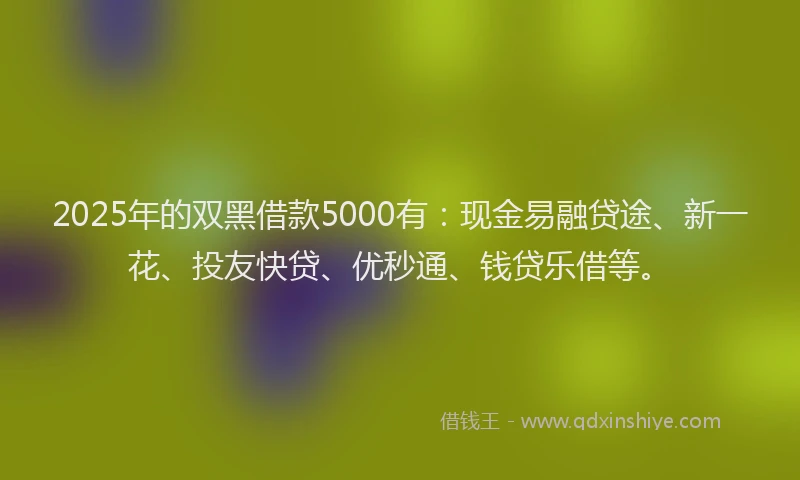 2025年的双黑借款5000有：现金易融贷途、新一花、投友快贷、优秒通、钱贷乐借等。