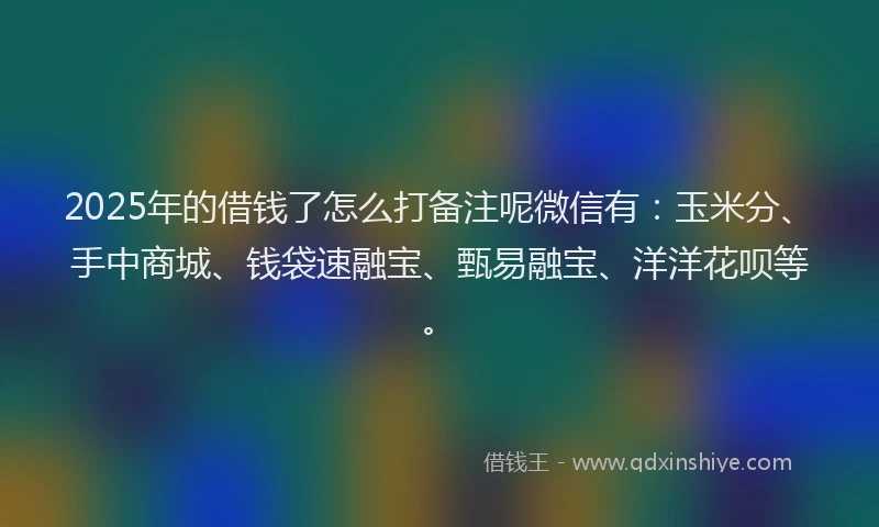 2025年的借钱了怎么打备注呢微信有：玉米分、手中商城、钱袋速融宝、甄易融宝、洋洋花呗等。