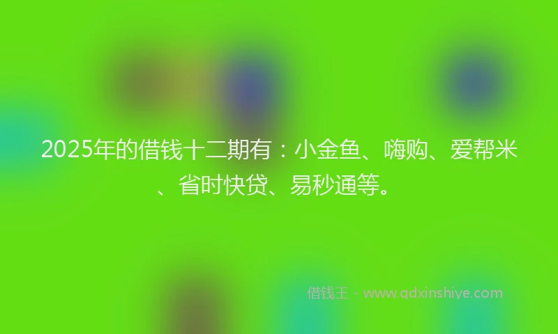 2025年的借钱十二期有：小金鱼、嗨购、爱帮米、省时快贷、易秒通等。