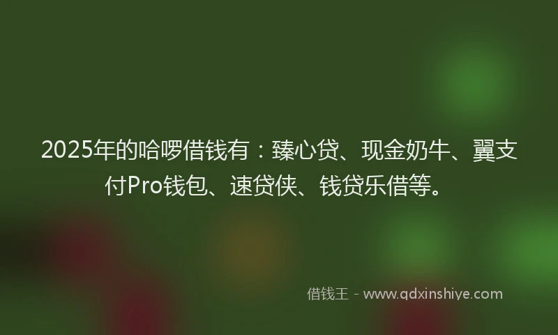 2025年的哈啰借钱有：臻心贷、现金奶牛、翼支付Pro钱包、速贷侠、钱贷乐借等。