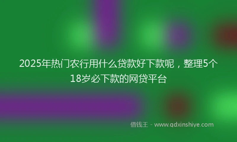 2025年热门农行用什么贷款好下款呢，整理5个18岁必下款的网贷平台