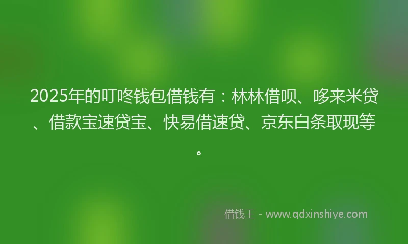 2025年的叮咚钱包借钱有：林林借呗、哆来米贷、借款宝速贷宝、快易借速贷、京东白条取现等。