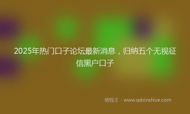 2025年热门口子论坛最新消息，归纳五个无视征信黑户口子
