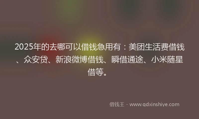 2025年的去哪可以借钱急用有:美团生活费借钱、众安贷、新浪微博借钱、瞬借通途、小米随星借等。