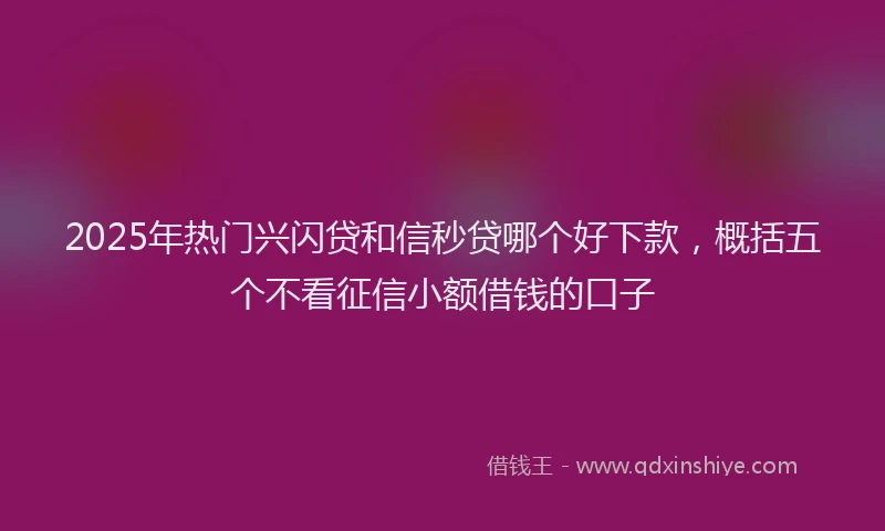 2025年热门兴闪贷和信秒贷哪个好下款，概括五个不看征信小额借钱的口子