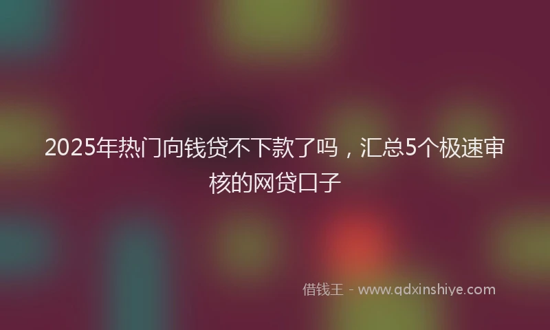 2025年热门向钱贷不下款了吗，汇总5个极速审核的网贷口子