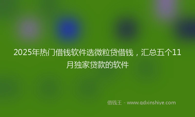 2025年热门借钱软件选微粒贷借钱，汇总五个11月独家贷款的软件