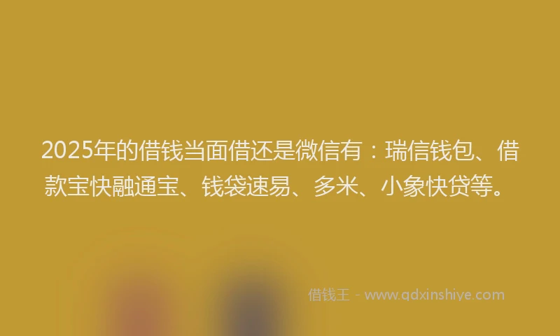 2025年的借钱当面借还是微信有：瑞信钱包、借款宝快融通宝、钱袋速易、多米、小象快贷等。