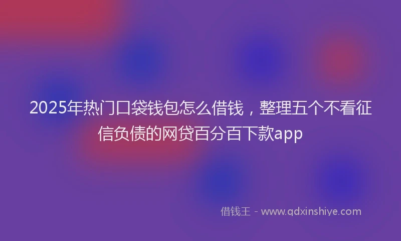 2025年热门口袋钱包怎么借钱，整理五个不看征信负债的网贷百分百下款app