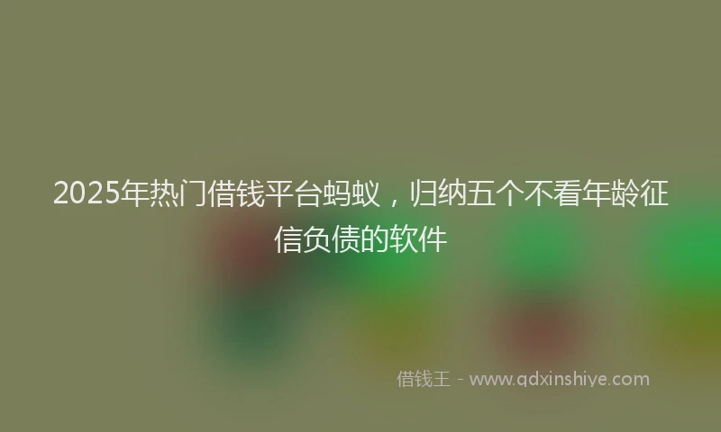 2025年热门借钱平台蚂蚁，归纳五个不看年龄征信负债的软件