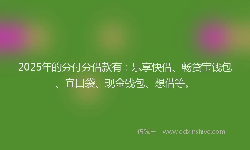2025年的分付分借款有：乐享快借、畅贷宝钱包、宜口袋、现金钱包、想借等。