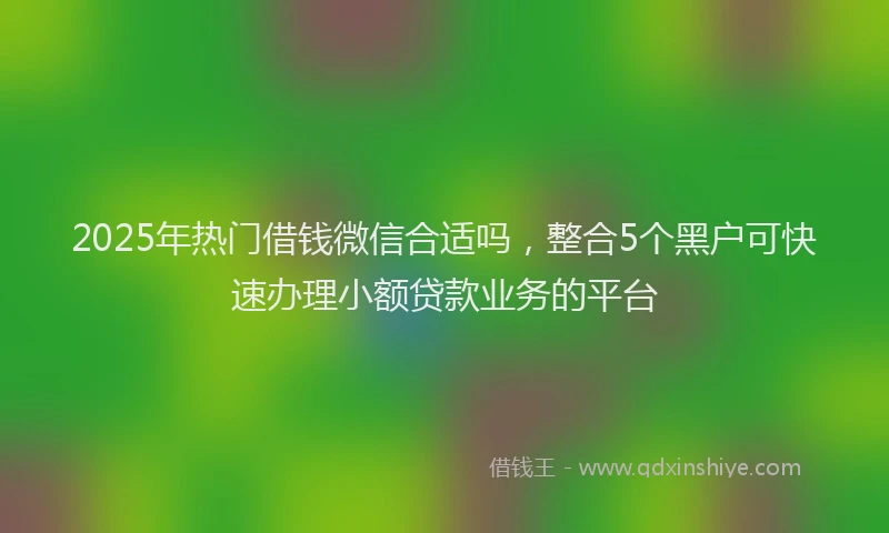 2025年热门借钱微信合适吗，整合5个黑户可快速办理小额贷款业务的平台