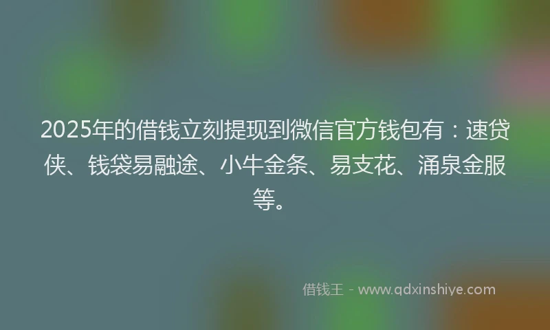 2025年的借钱立刻提现到微信官方钱包有：速贷侠、钱袋易融途、小牛金条、易支花、涌泉金服等。