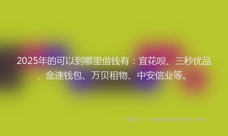 2025年的可以到哪里借钱有：宜花呗、三秒优品、金速钱包、万贝租物、中安信业等。