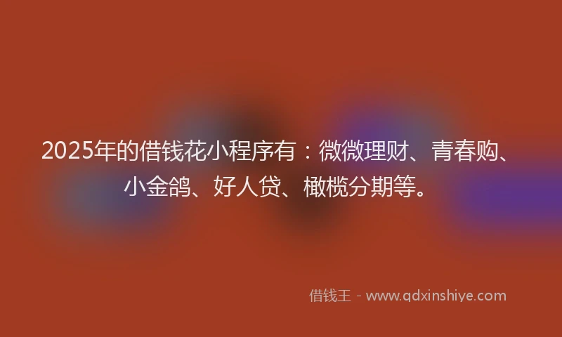 2025年的借钱花小程序有：微微理财、青春购、小金鸽、好人贷、橄榄分期等。