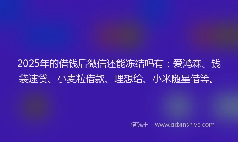 2025年的借钱后微信还能冻结吗有：爱鸿森、钱袋速贷、小麦粒借款、理想给、小米随星借等。