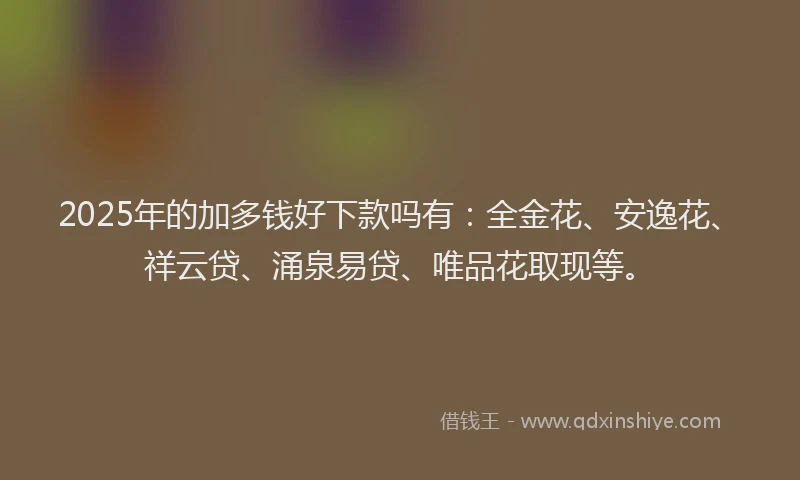 2025年的加多钱好下款吗有:全金花、安逸花、祥云贷、涌泉易贷、唯品花取现等。
