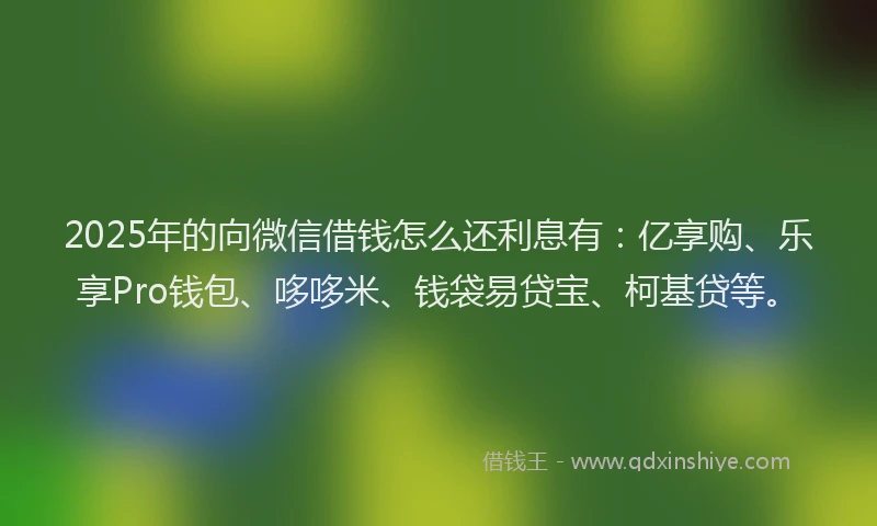 2025年的向微信借钱怎么还利息有：亿享购、乐享Pro钱包、哆哆米、钱袋易贷宝、柯基贷等。