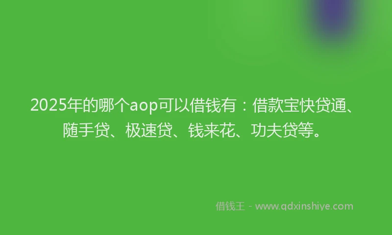 2025年的哪个aop可以借钱有：借款宝快贷通、随手贷、极速贷、钱来花、功夫贷等。