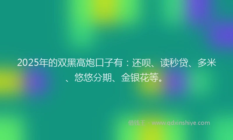 2025年的双黑高炮口子有：还呗、读秒贷、多米、悠悠分期、金银花等。