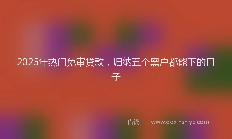2025年热门免审贷款，归纳五个黑户都能下的口子