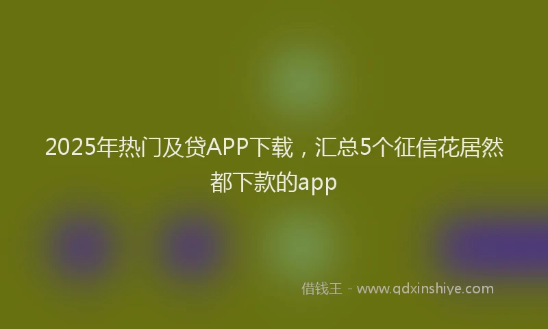 2025年热门及贷APP下载，汇总5个征信花居然都下款的app