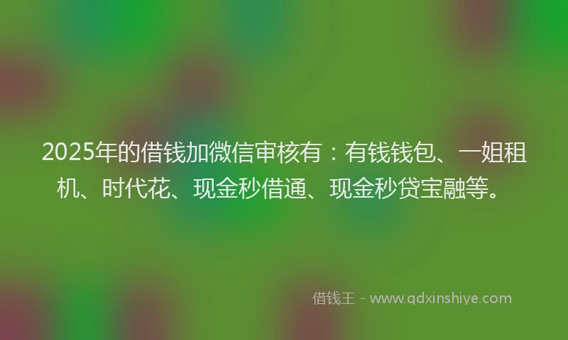 2025年的借钱加微信审核有：有钱钱包、一姐租机、时代花、现金秒借通、现金秒贷宝融等。
