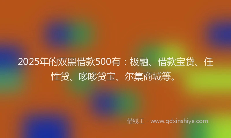 2025年的双黑借款500有：极融、借款宝贷、任性贷、哆哆贷宝、尔集商城等。
