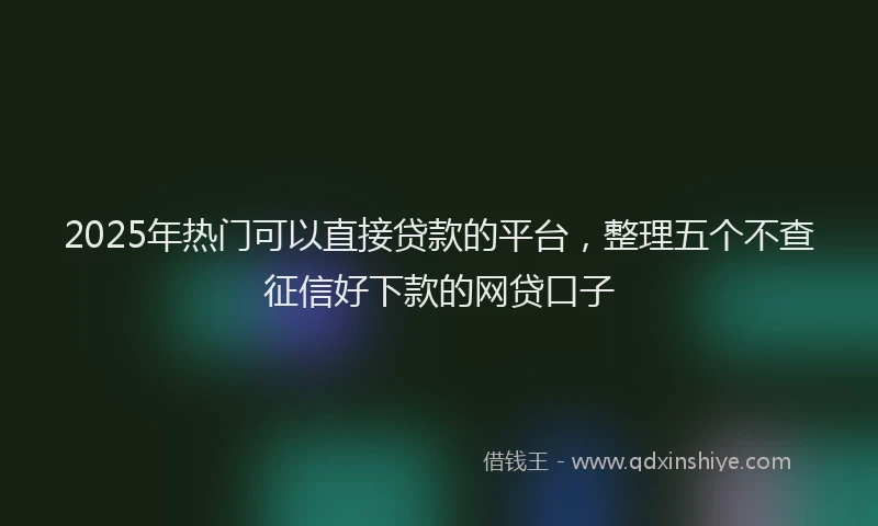 2025年热门可以直接贷款的平台，整理五个不查征信好下款的网贷口子