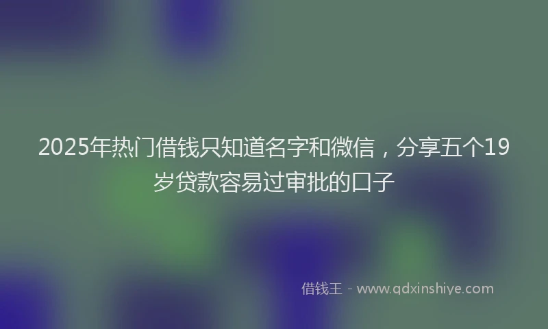 2025年热门借钱只知道名字和微信，分享五个19岁贷款容易过审批的口子